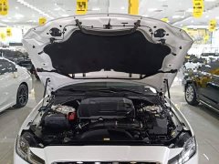 Jaguar XFL 2022 2.0T P250 Two-Wheel Drive Premium Luxury Edition - ფოტო 19