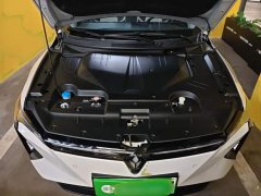 Honda Lingxi L 2024 Top Player Edition - ფოტო 19