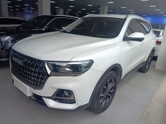 Haval H6 2023 National Trend Edition 1.5T Automatic Urban Version - ფოტო 1