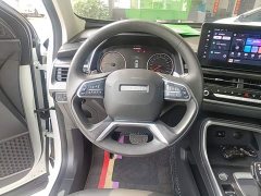 Haval H6 2023 National Trend Edition 1.5T Automatic Urban Version - ფოტო 10