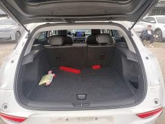 Baojun Blue 6 450km Travel Edition - ფოტო 18