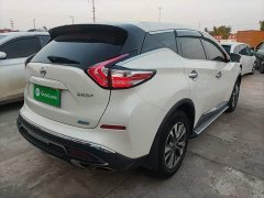 Nissan Murano 2.5L XL FWD Smart Connect Luxury - ფოტო 6