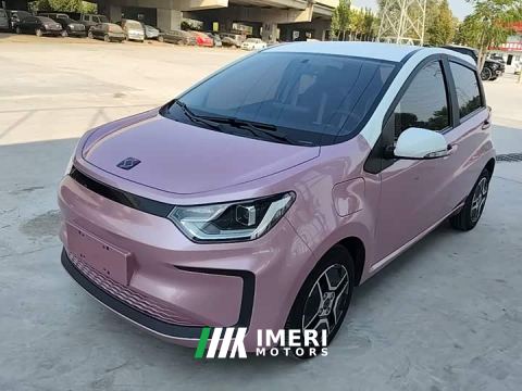 2022 JAC Flower Fairy Flower Fairy Starry Sky