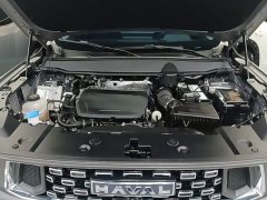 Haval Big Dog PLUS 1.5T Two-Wheel Drive Trendy Wilderness Edition Plus - ფოტო 19