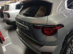 Haval Big Dog PLUS 1.5T Two-Wheel Drive Trendy Wilderness Edition Plus - ფოტო 5