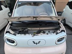 Wuling Hongguang MINIEV Third Generation 215km Youth Edition - ფოტო 19