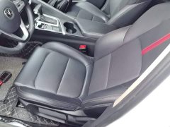 Changan Eado 2020 PLUS Blue Whale NE 1.4T GDI DCT Luxury - ფოტო 14