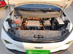 Geely Geometry E Firefly 320KM Cute Tiger 4-Seater - ფოტო 19