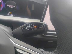 Volkswagen Teramont Pro 450TSI AWD Summit Edition - ფოტო 6
