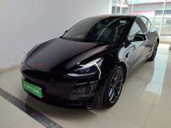 Tesla Model 3 Performance All-Wheel Drive - ფოტო 1