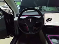 Tesla Model 3 Performance All-Wheel Drive - ფოტო 10
