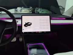 Tesla Model 3 Performance All-Wheel Drive - ფოტო 12