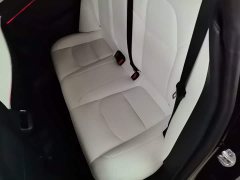 Tesla Model 3 Performance All-Wheel Drive - ფოტო 16