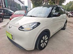 Wuling Binguo 333km Joy Edition - ფოტო 1