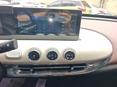 Wuling Binguo 333km Joy Edition - ფოტო 12