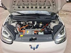 Wuling Binguo 333km Joy Edition - ფოტო 19