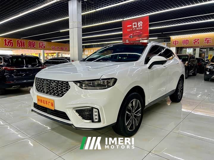 Great Wall WEY VV5 1.5T Two-Wheel Drive Color Pioneer - ავტომობილი ჩინეთიდან