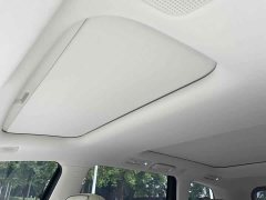 Wuling Starlight L 260km Six-Seat Flagship - ფოტო 16