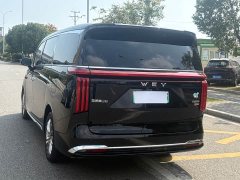 Great Wall WEY Shanshan New Energy 2025 Four-Wheel Drive Shanshan 8 - ფოტო 6