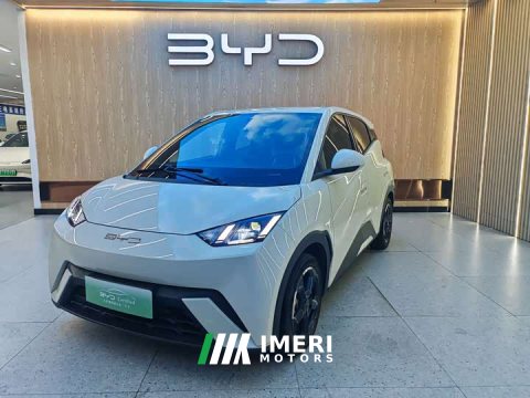 2023 BYD Seagull Flying Edition - ავტომობილი ჩინეთიდან