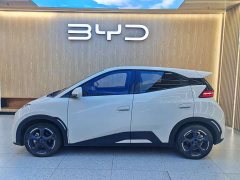 BYD Seagull Flying Edition - ფოტო 2