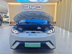 BYD Seagull Flying Edition - ფოტო 3