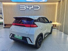 BYD Seagull Flying Edition - ფოტო 4
