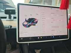 Tesla Model 3 Standard Range RWD Upgrade 3D6 - ფოტო 13