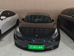Tesla Model 3 Standard Range RWD Upgrade 3D6 - ფოტო 2