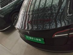 Tesla Model 3 Standard Range RWD Upgrade 3D6 - ფოტო 6