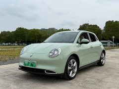 ORA Good Cat 400km Standard Range Luxury Lithium Iron Phosphate - ფოტო 1