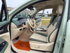 ORA Good Cat 400km Standard Range Luxury Lithium Iron Phosphate - ფოტო 11