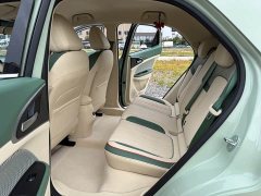ORA Good Cat 400km Standard Range Luxury Lithium Iron Phosphate - ფოტო 12