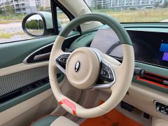 ORA Good Cat 400km Standard Range Luxury Lithium Iron Phosphate - ფოტო 14