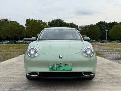 ORA Good Cat 400km Standard Range Luxury Lithium Iron Phosphate - ფოტო 2