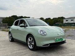 ORA Good Cat 400km Standard Range Luxury Lithium Iron Phosphate - ფოტო 3