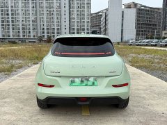 ORA Good Cat 400km Standard Range Luxury Lithium Iron Phosphate - ფოტო 5