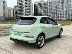 ORA Good Cat 400km Standard Range Luxury Lithium Iron Phosphate - ფოტო 6