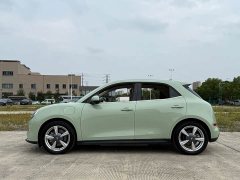 ORA Good Cat 400km Standard Range Luxury Lithium Iron Phosphate - ფოტო 7