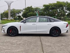 FAW Red Flag H6 2.0T Zhishang Edition - ფოტო 11