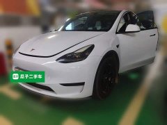 Tesla Model Y Rear-Wheel Drive - ფოტო 1
