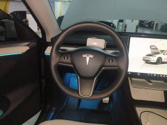 Tesla Model Y Rear-Wheel Drive - ფოტო 11