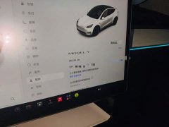 Tesla Model Y Rear-Wheel Drive - ფოტო 13