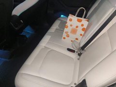 Tesla Model Y Rear-Wheel Drive - ფოტო 18