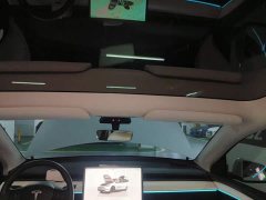 Tesla Model Y Rear-Wheel Drive - ფოტო 19