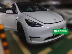 Tesla Model Y Rear-Wheel Drive - ფოტო 3