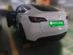 Tesla Model Y Rear-Wheel Drive - ფოტო 4