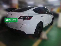 Tesla Model Y Rear-Wheel Drive - ფოტო 6