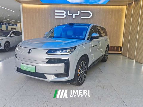 2025 Denza BYD Denza N9 Flagship - ავტომობილი ჩინეთიდან