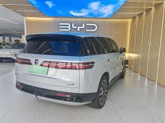 Denza BYD Denza N9 Flagship - ფოტო 19